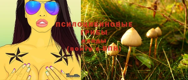 амф Армянск